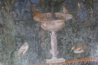 Côte Amalfitaine-Pompéï (6)