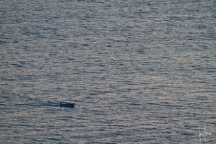 Côte Amalfitaine-Praiano (23)