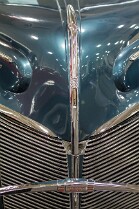 BELLES AMÉRICAINES (15)