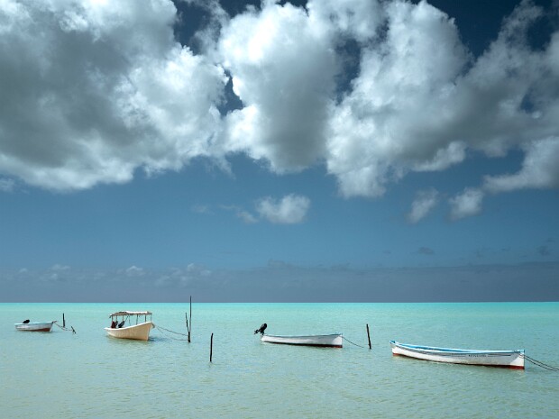 REUNION RODRIGUES 2025