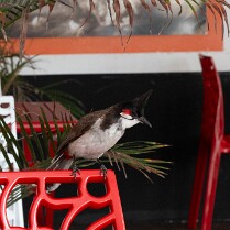 2025 REUNION RODRIGUES-1