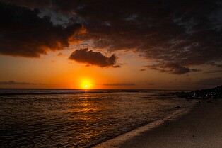 2025 REUNION RODRIGUES-6