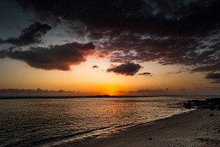 2025 REUNION RODRIGUES-7