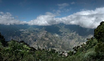 2025 REUNION RODRIGUES-9